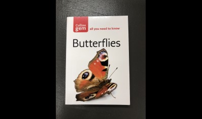 Butterflies- Collins gem