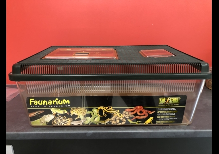 Vivarium :exo Terra Standard Faunarium Flat, Large 