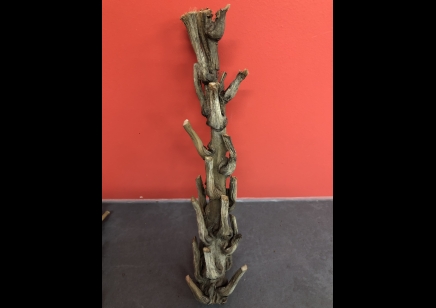 Cut Coconut Branch - large - Approx 30cm