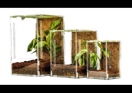 Acrylic ventilated tall arboreal viv 15 x 15 x 20cm ...medium