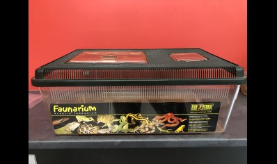 Vivarium :exo Terra Standard Faunarium Flat, Large 