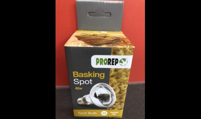 Pro Rep Basking spot lamp 40w - ES