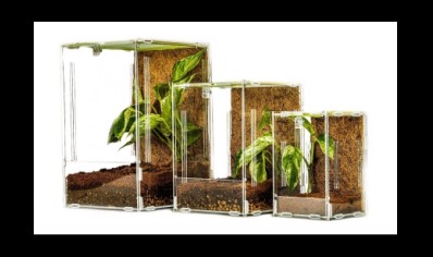 Acrylic ventilated tall arboreal viv 19 x 19 x 29cm ...large