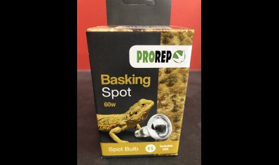 Pro Rep Basking Spot Light 60 watts - ES