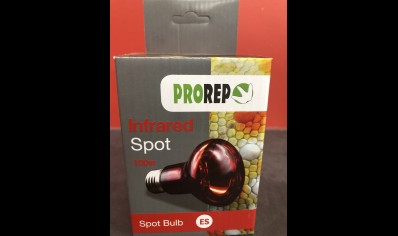 Pro Rep Infrared spot 100 watts - ES