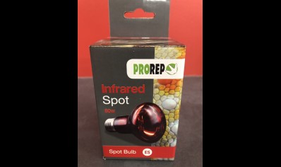 Pro Rep: Infrared Spot 60 Watts - ES