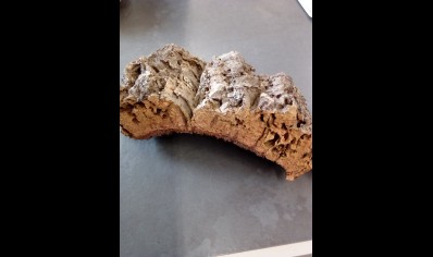 ProRep cork bark flat small