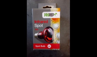 Infrared Spot 40 Watt Bc